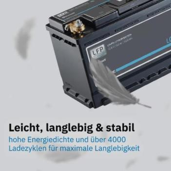 Preview: ECTIVE LC 100 LT 12V LiFePO4 Lithium Versorgungsbatterie 100 Ah